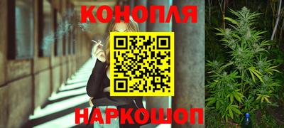 индика Новодвинск