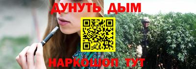 индика Новодвинск