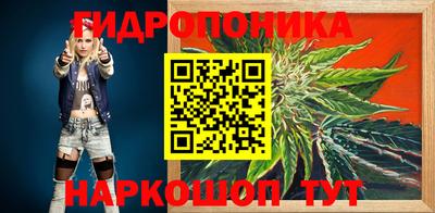 прущие грибы Новозыбков