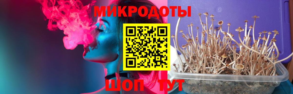 Псилоцибиновые грибы MAGIC MUSHROOMS Ставрополь